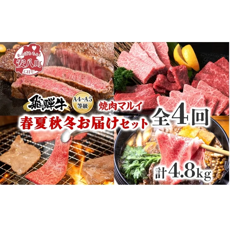 焼肉マルイ 飛騨牛 春夏秋冬お届けセット 4回 合計4.8kg 焼肉 A4 A5 等級 和牛 国産 国産牛 牛肉 鉄板焼き バーベキュー ステーキ すき焼き 冷蔵 日本産 ブランド和牛 お取り寄せグルメ 送料無料 岐阜県 安八町