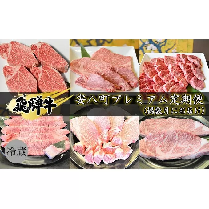 飛騨牛　安八町プレミアム定期便（偶数月にお届け） お肉 牛肉 国産 お家焼肉 シャトーブリアン ロース ヒレ 赤身 サイコロステーキ 肩ロース すき焼き用 サーロイン ステーキ 