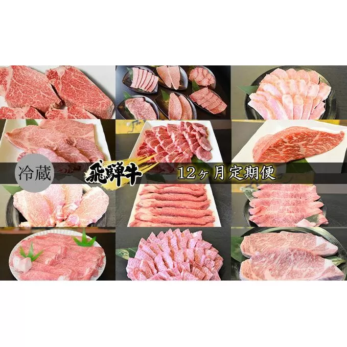 飛騨牛12ヶ月定期便 牛肉 国産 シャトーブリアン 6種盛り カルビ ロース ヒレ 赤身 もも ブロック ステーキ サイコロ すき焼き しゃぶしゃぶ 肩ロース リブロース サーロイン 