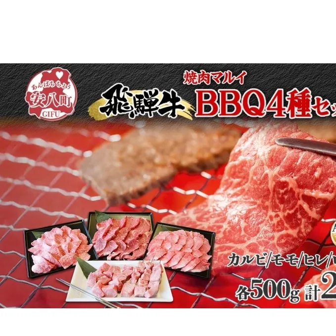 焼肉マルイ 串付き 飛騨牛BBQセット 約2kg 焼肉 串焼き BBQ セット カルビ ヒレ肉 モモ肉 ロース肉 お肉 肉 お家で簡単 本格 国産 国産牛 牛 牛肉 和牛 秘伝のたれ タレ付き 焼くだけ簡単 お取り寄せグルメ 送料無料 岐阜県 安八町