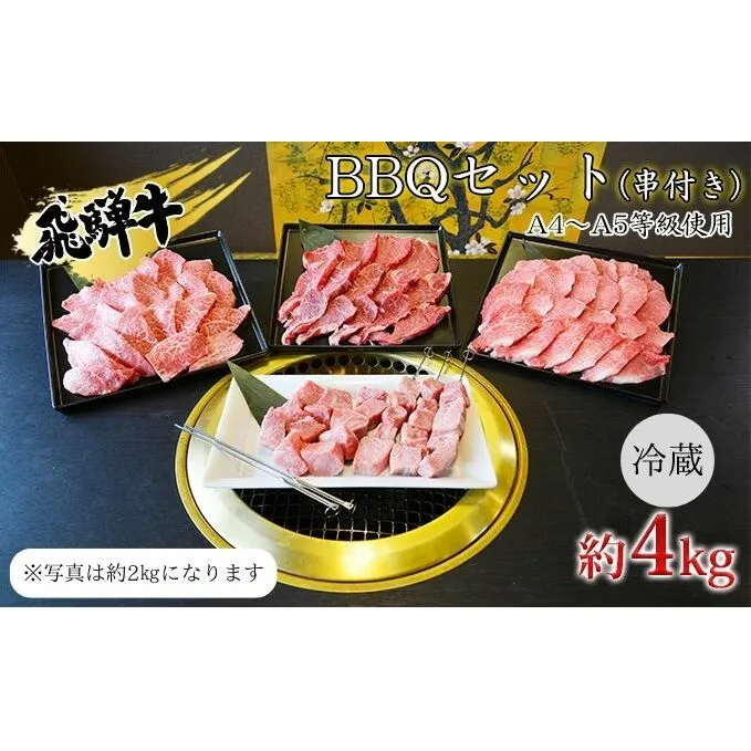串付き　飛騨牛BBQセット約4kg（A4～A5等級使用） お肉 牛肉 国産 バーベキュー ブランド和牛 お家焼肉 カルビ モモ 赤身 柔らかい ヒレ 霜降り 牛肉の女王様 旨み 真空パック 冷蔵 タレ付き 