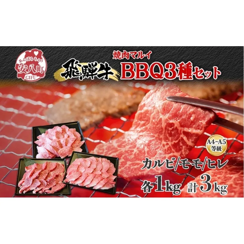 焼肉マルイ 飛騨牛BBQセット 約3kg  セット カルビ ヒレ肉 モモ肉 お肉 肉 お家で簡単 本格 国産 国産牛 牛 牛肉 和牛 秘伝のたれ タレ付き 焼くだけ簡単 お取り寄せグルメ 送料無料 岐阜県 安八町