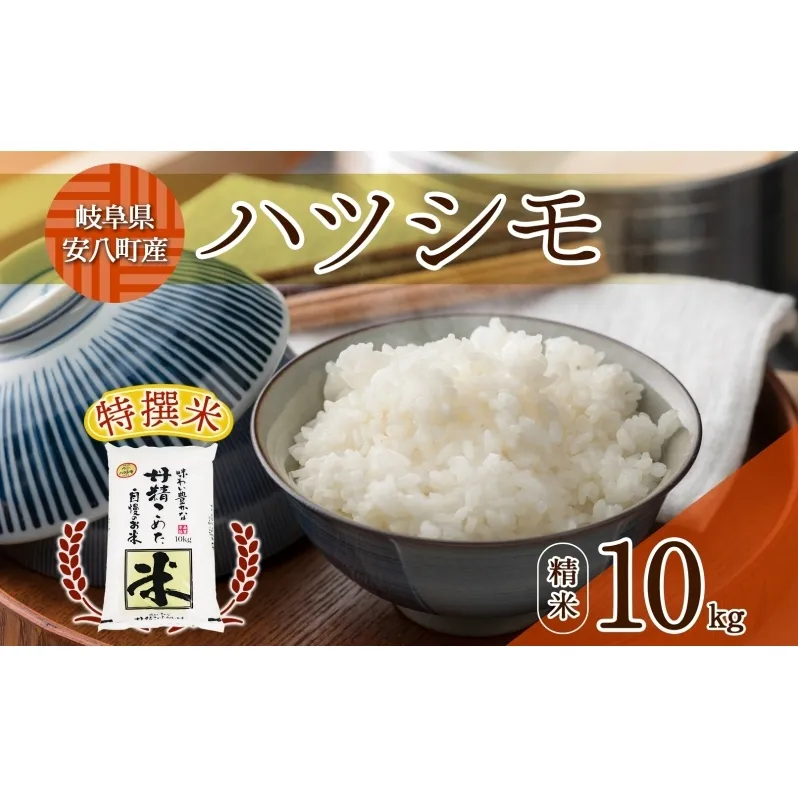 R7年産  特選米 ハツシモ 精米 10kg ×1袋 お米 米 白米 ごはん 新米 精白米 ご飯 はつしも 令和7年産 ブランド米 低農薬 お取り寄せ 産地直送 クリーンファームまき 送料無料 岐阜県 安八町