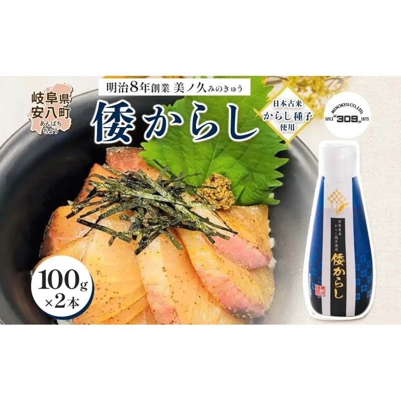  美ノ久 倭からし 100g×2本 和カラシ 和からし からし 調味料 アレンジ 香辛料 風味豊か 肉料理 野菜料理 魚料理 浅漬け 漬物 常備 すっきり 辛い 馴染みやすい 使いやすい 便利 万能 万能調味料 お取り寄せ ご当地 送料無料 岐阜県 安八町