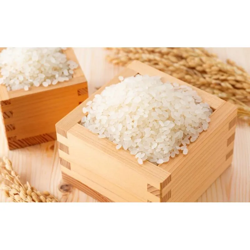 R6年産 特選米 ハツシモ 精米 10kg ×1袋 お米 米 白米 ごはん 精