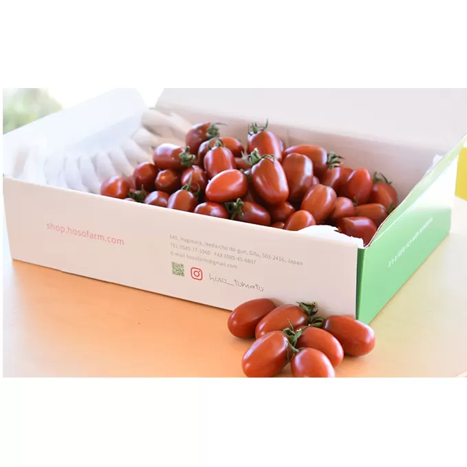 チョコスピカ　1.5kg 野菜 トマト ミニトマト とまと 