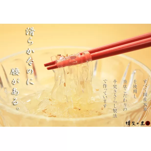 ところてん 昔ながらの手突きさらし トコロテン 1袋2パック×12袋 セット 三杯酢味 伊豆 天草 100% ところ天 心太 スイーツ お菓子 菓子 おやつ デザート 和菓子 加工食品 岐阜県池田町 