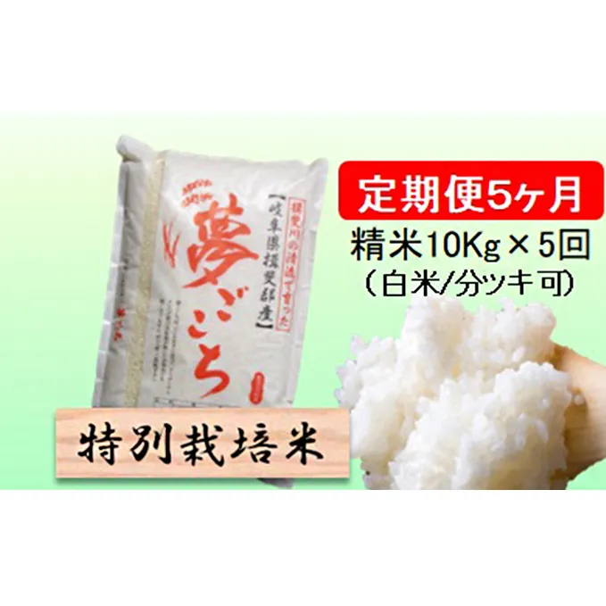 特別栽培米★[定期便] 5カ月★毎月 精米10kg（白米/7分/5分ツキ可）【夢ごこち】　玄米は別に出品 お米 令和5年産 低アミロース モチモチ お弁当 おにぎり 安心 安全 美味しい 糖質 