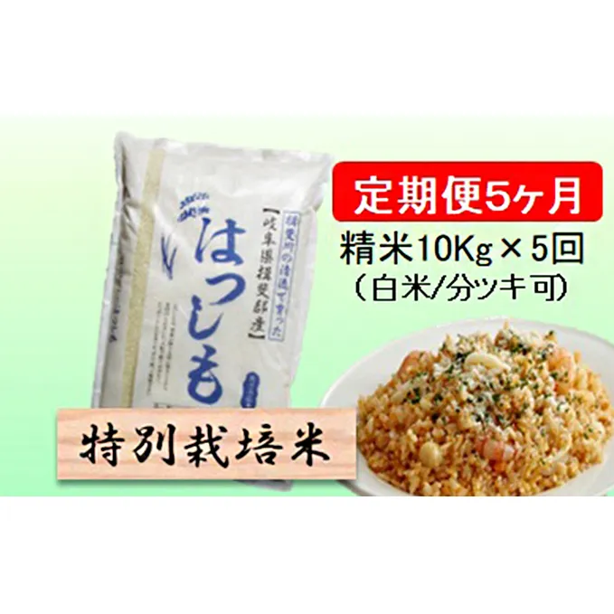 特別栽培米★[定期便] 5カ月★毎月 精米10kg（白米/7分/5分ツキ可）【ハツシモ】　玄米は別に出品 お米 令和5年産 幻のお米 大粒 アッサリ お寿司 丼物 炒め物 安心 安全 美味しい 