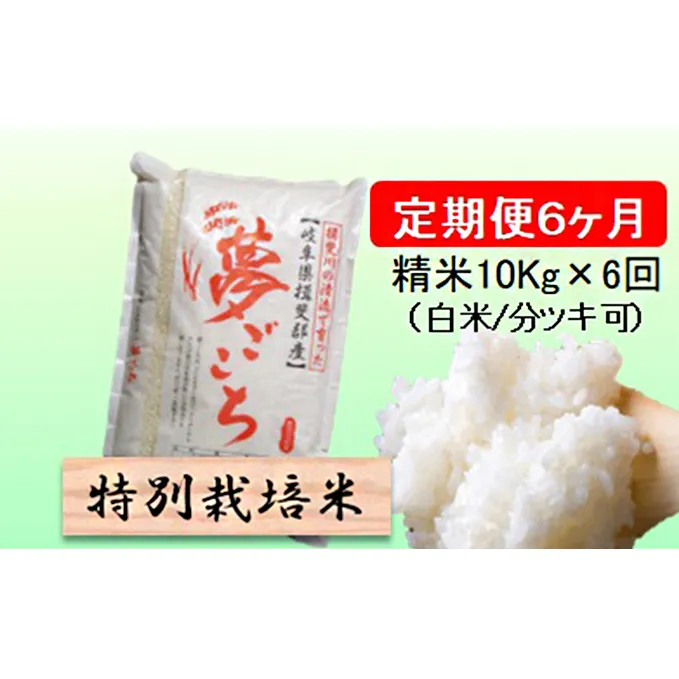 特別栽培米★[定期便] 6カ月★毎月 精米10kg（白米/7分/5分ツキ可）【夢ごこち】　玄米は別に出品 お米 令和5年産 低アミロース モチモチ お弁当 おにぎり 安心 安全 美味しい 糖質 