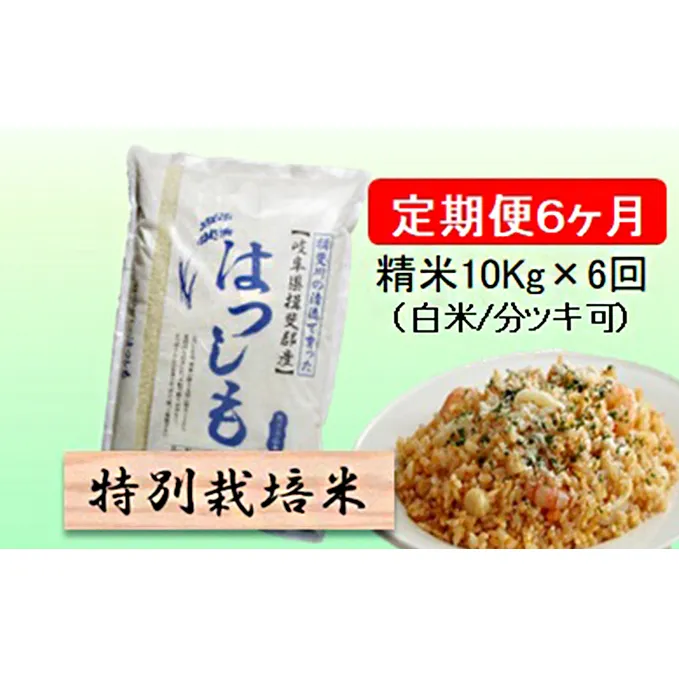 特別栽培米★[定期便] 6カ月★毎月 精米10kg（白米/7分/5分ツキ可）【ハツシモ】　玄米は別に出品 お米 令和5年産 幻のお米 大粒 アッサリ お寿司 丼物 炒め物 安心 安全 美味しい 