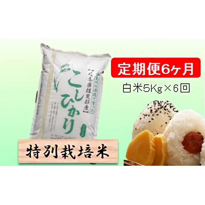 特別栽培米★[定期便] 6カ月★毎月 白米５kg 【コシヒカリ】 お米 令和5年産 王様 モチモチ 艶 食感 バランス 安心 安全 美味しい 