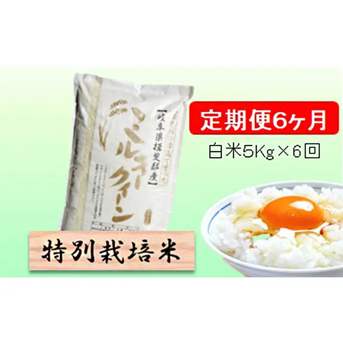 特別栽培米★[定期便] 6カ月★毎月 白米５kg 【ミルキークイーン】 お米 令和5年産 低アミロース モチモチ お弁当 おにぎり 安心 安全 美味しい 糖質 
