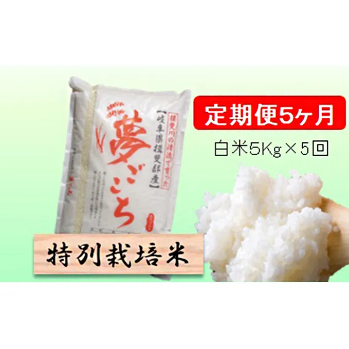 特別栽培米★[定期便] 5カ月★毎月 白米５kg 【夢ごこち】 お米 令和5年産 低アミロース モチモチ お弁当 おにぎり 安心 安全 美味しい 糖質 