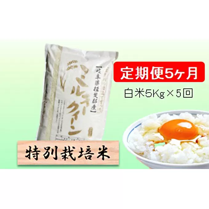 特別栽培米★[定期便] 5カ月★毎月 白米５kg 【ミルキークイーン】