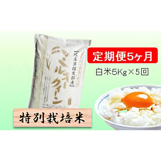 特別栽培米★[定期便] 5カ月★毎月 白米５kg 【ミルキークイーン】 お米 令和5年産 低アミロース モチモチ お弁当 おにぎり 安心 安全 美味しい 糖質 