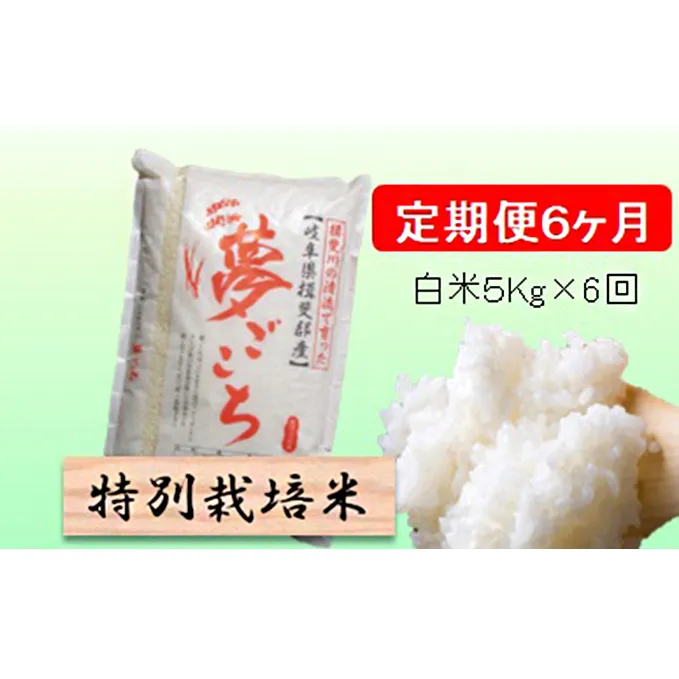 特別栽培米★[定期便] 6カ月★毎月 白米５kg 【夢ごこち】 お米 令和5年産 低アミロース モチモチ お弁当 おにぎり 安心 安全 美味しい 糖質 