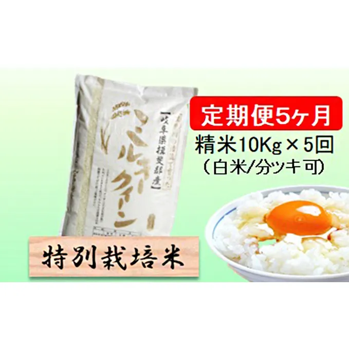 特別栽培米★[定期便] 5カ月★毎月 精米10kg（白米/7分/5分ツキ可）【ミルキークイーン】　玄米は別に出品 お米 令和5年産 低アミロース モチモチ お弁当 おにぎり 安心 安全 美味しい 糖質 