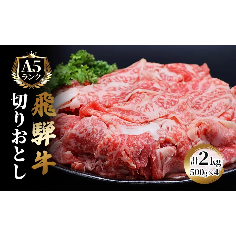 飛騨牛 牛肉 切り落とし 500g×4 計2kg A5 和牛 焼肉 もも肉 モモ バラ カルビ お肉 ブランド和牛 