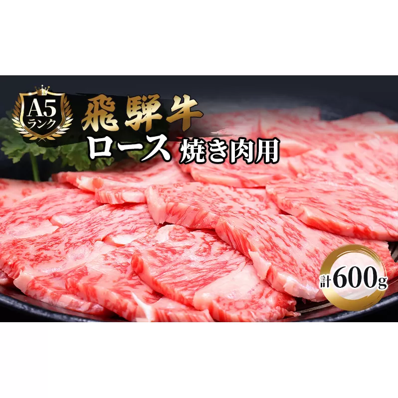 ふるさと納税　飛騨牛 牛肉 焼肉 ロース 600g A5 和牛 