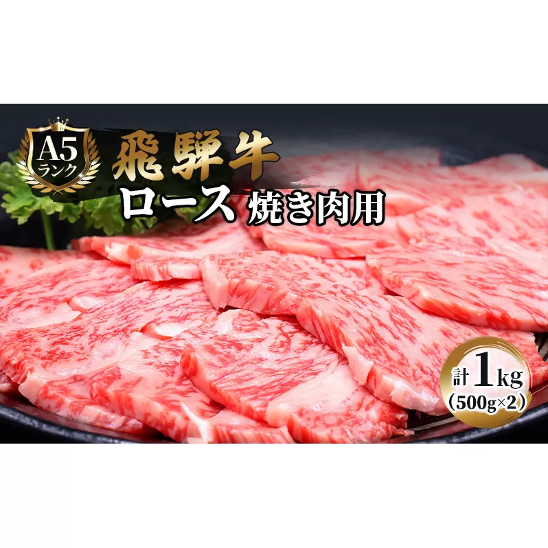 ふるさと納税　飛騨牛 牛肉 焼肉 ロース 500g×2 計1kg A5 和牛 