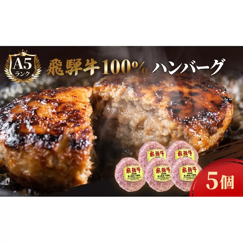 ふるさと納税　飛騨牛 ハンバーグ ロースバーグ 150g×5枚 計750g  和牛 