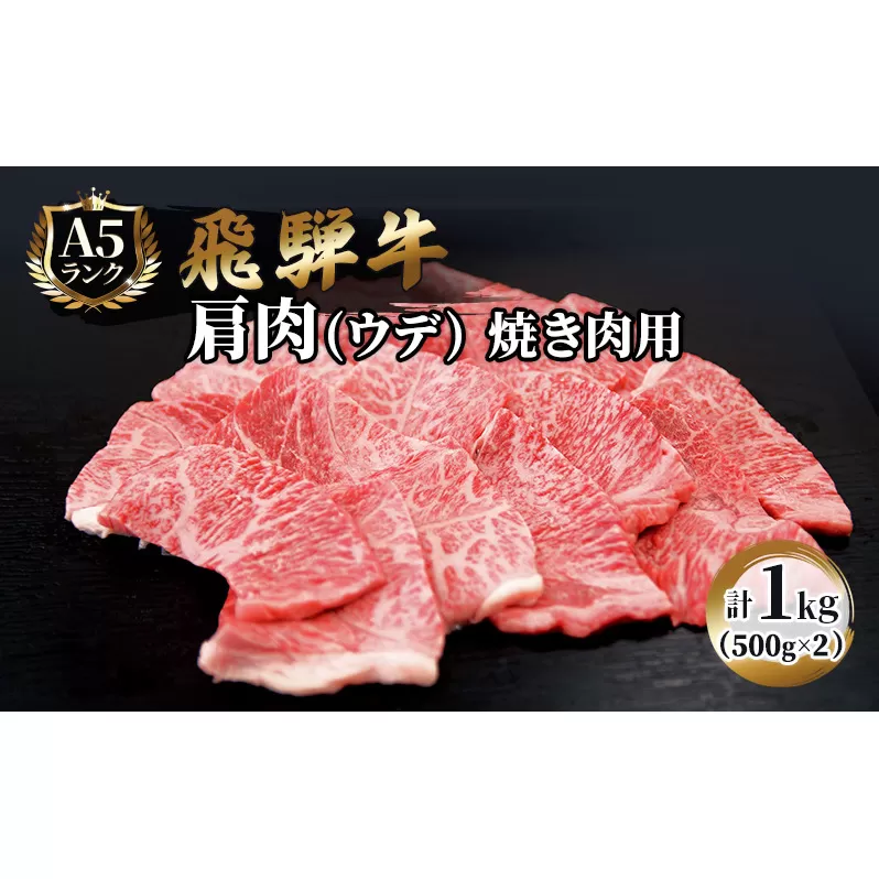 ふるさと納税　飛騨牛 牛肉 焼肉 肩肉 (ウデ)  500g×2 計1kg A5 和牛 