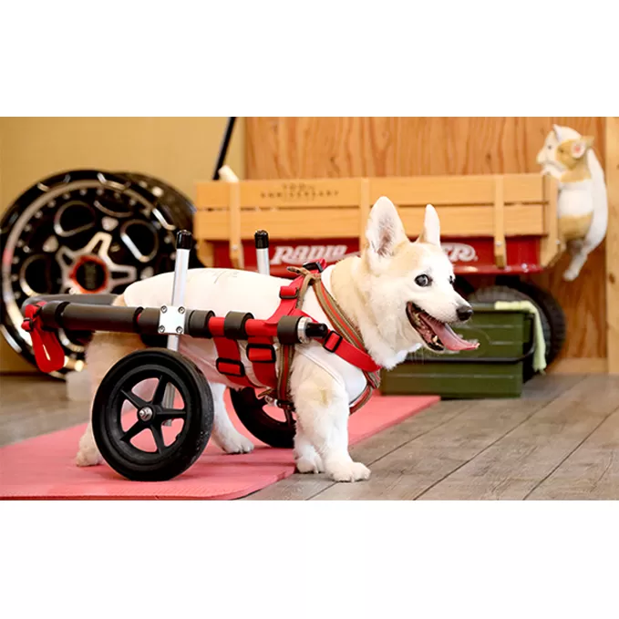 中型犬用二輪車椅子（背丈33～65cm　体重22キロ以下） 【!寄附前に事業者へ相談必要!】 雑貨 日用品 