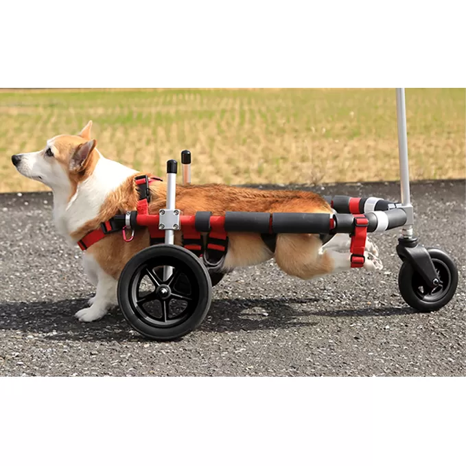 中型犬用三輪車椅子（背丈33～65cm　体重22キロ以下） 【!寄附前に事業者へ相談必要!】 雑貨 日用品 