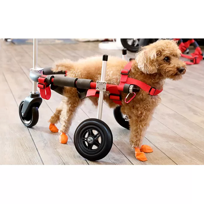 小型犬用三輪車椅子（背丈23～35cm　体重8キロ以下） 【!寄附前に事業者へ相談必要!】 雑貨 日用品 