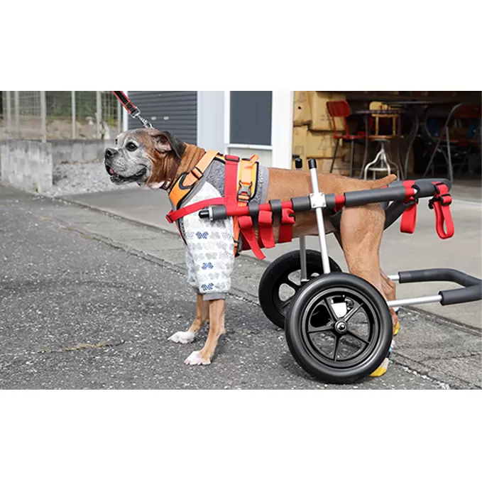 大型犬用二輪車椅子（背丈50～75cm　体重40キロ以下） 【!寄附前に事業者へ相談必要!】 雑貨 日用品 