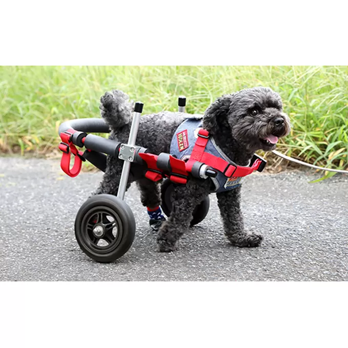 小型犬用二輪車椅子（背丈23～35cm　体重8キロ以下） 【!寄附前に事業者へ相談必要!】 雑貨 日用品 