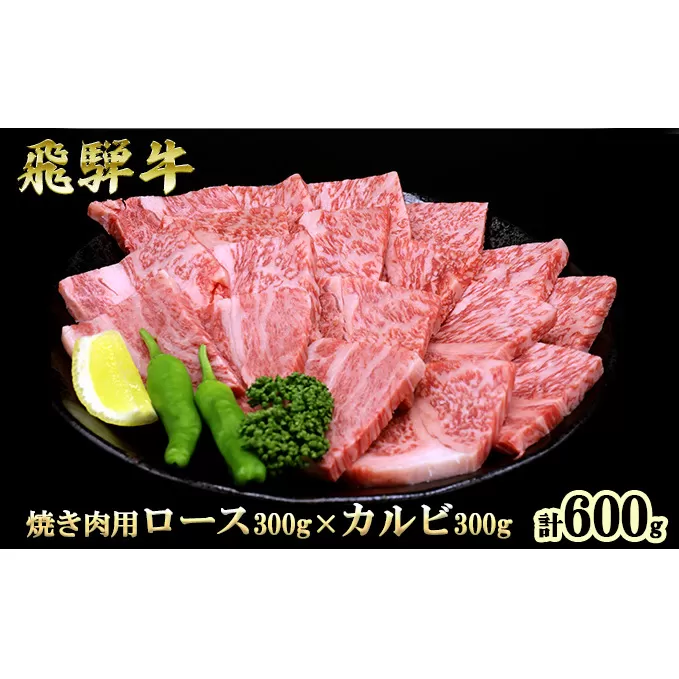 ふるさと納税　飛騨牛 ロース＆カルビ 焼肉 セット  計600g A5 和牛 牛肉 お肉 ロース カルビ 食べ比べ 焼肉用 バーベキュー BBQ 