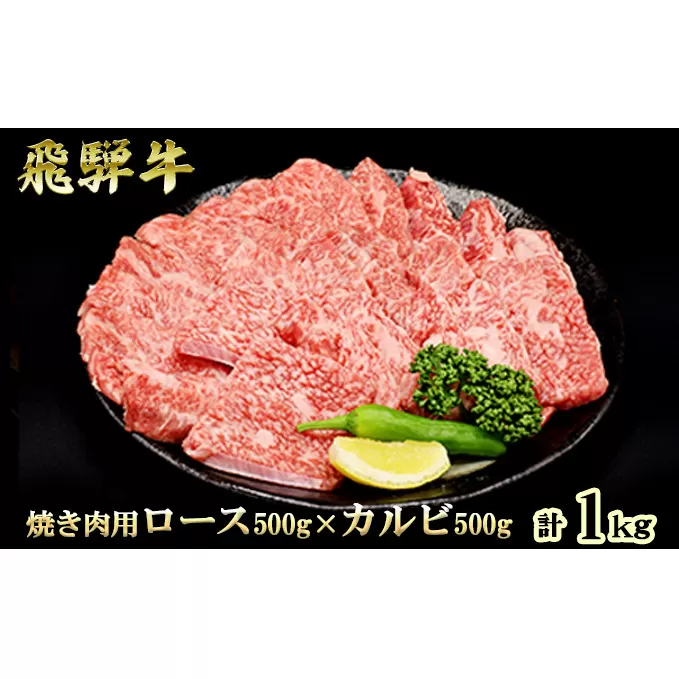 ふるさと納税　飛騨牛 ロース＆カルビ 焼肉 セット  計1kg A5 和牛 牛肉 お肉 ロース カルビ 食べ比べ 焼肉用 バーベキュー BBQ 