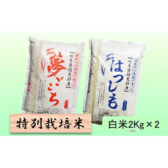 特別栽培米★白米４kg 【夢ごこち・ハツシモ】 お米 ブランド米 銘柄米 精米 ご飯 おにぎり モッチリ 冷めても美味しい 大粒 アッサリ 