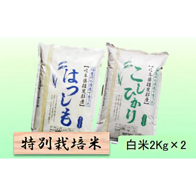 特別栽培米★白米４kg 【ハツシモ・コシヒカリ】 お米 ブランド米 銘柄米 精米 ご飯 おにぎり お米の王様 大粒 アッサリ 