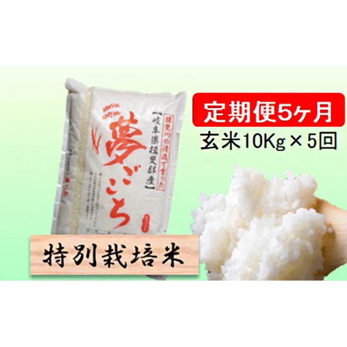 特別栽培米★[定期便] 5カ月★毎月 玄米10kg【夢ごこち】 お米 ブランド米 銘柄米 ご飯 モッチリ 低アミロース米 冷めても美味しい 