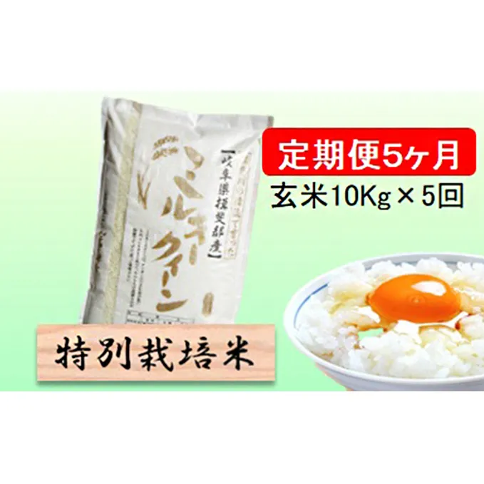 特別栽培米★[定期便] 5カ月★毎月 玄米10kg【ミルキークイーン】 お米 ブランド米 銘柄米 ご飯 モチモチ 低アミロース米 冷めても美味しい 