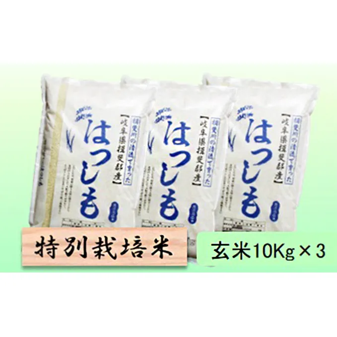 特別栽培米★玄米30kg【ハツシモ】10Kg×3 お米 ブランド米 銘柄米 ご飯 アッサリ 幻のお米 大粒 