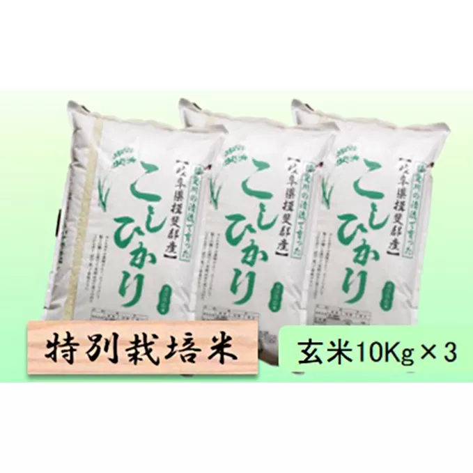 特別栽培米★玄米30kg【コシヒカリ】10Kg×3