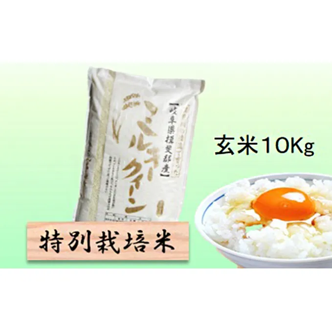 特別栽培米★玄米10kg 【ミルキークイーン】 お米 ブランド米 銘柄米 ご飯 おにぎり モチモチ 低アミロース米 冷めても美味しい 