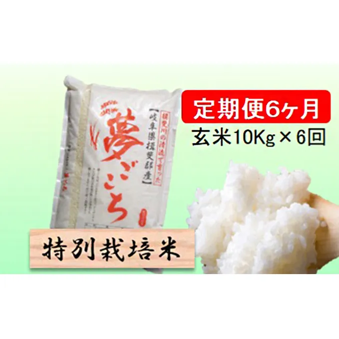 特別栽培米★[定期便] 6カ月★毎月 玄米10kg【夢ごこち】 お米 ブランド米 銘柄米 ご飯 モッチリ 低アミロース米 冷めても美味しい 