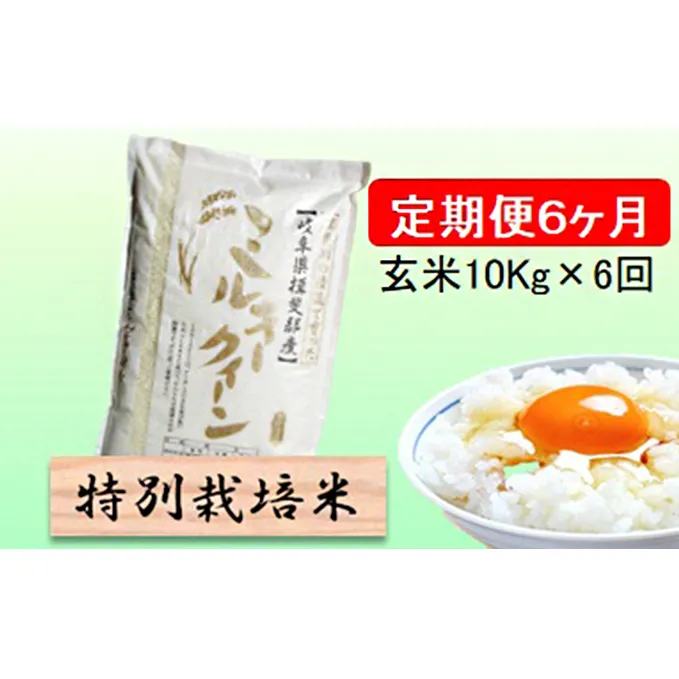 特別栽培米★[定期便] 6カ月★毎月 玄米10kg【ミルキークイーン】 お米 ブランド米 銘柄米 ご飯 モチモチ 低アミロース米 冷めても美味しい 