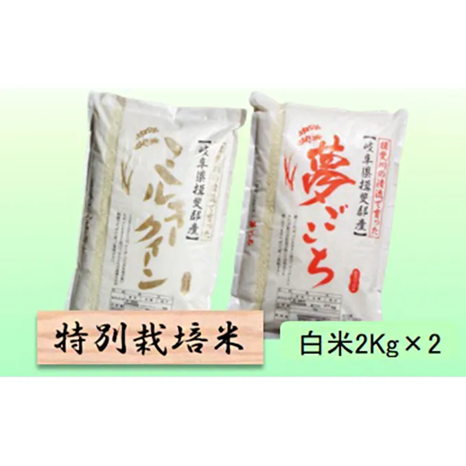 特別栽培米★白米４kg 【ミルキークイーン・夢ごこち】 お米 ブランド米 銘柄米 精米 ご飯 おにぎり モチモチ 冷めても美味しい 