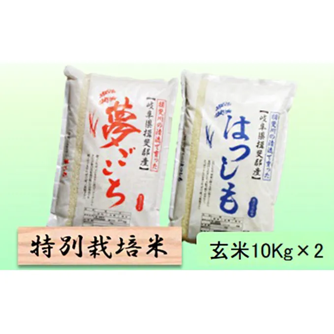 特別栽培米★玄米20kg【夢ごこち・ハツシモ】各10Kg お米 ブランド米 銘柄米 ご飯 モッチリ 冷めても美味しい 低アミロース米 大粒 アッサリ 