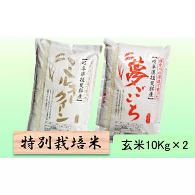 特別栽培米★玄米20kg【ミルキークイーン・夢ごこち】各10Kg