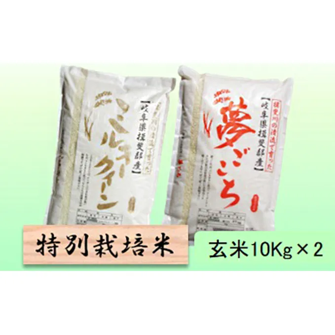 特別栽培米★玄米20kg【ミルキークイーン・夢ごこち】各10Kg お米 ブランド米 銘柄米 ご飯 モチモチ 冷めても美味しい 低アミロース米 