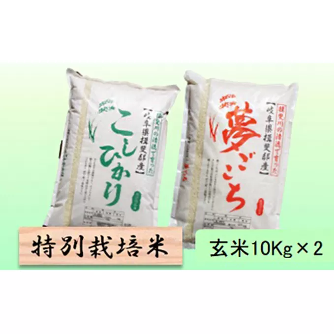 特別栽培米★玄米20kg【コシヒカリ・夢ごこち】各10Kｇ