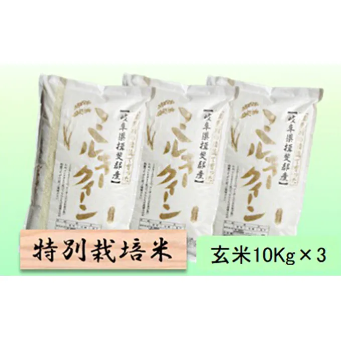 特別栽培米★玄米30kg【ミルキークイーン】10Kg×3 お米 ブランド米 銘柄米 ご飯 モチモチ 低アミロース米 冷めても美味しい 