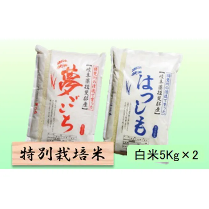 特別栽培米★白米10kg 【夢ごこち・ハツシモ】各5Kg お米 ブランド米 銘柄米 ご飯 モッチリ 冷めても美味しい 大粒 アッサリ 